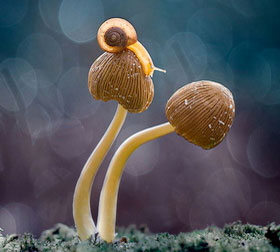 ddos网页在线攻击